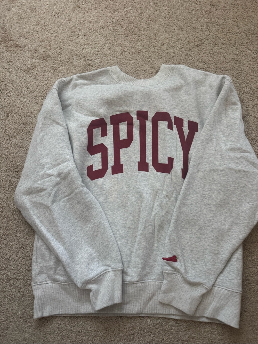 Women’s Abercrombie and Fitch “Spicy” Oversized Sweatshirt size XS
